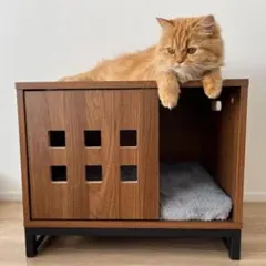 Item thumbnail for item 4ac4e80b-31d6-495e-8d4f-319af38b1e01