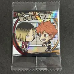 ハイキュー　にふぉるめーしょん　シールウエハース　日向翔陽　孤爪研磨