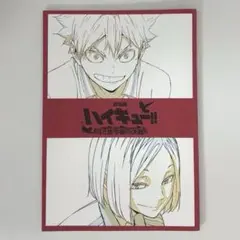 劇場版 ハイキュー‼︎ ゴミ捨て場の決戦 第3弾入場者特典 メモリアルブック