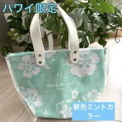 【新作】DEAN & DELUCAハワイ　ミニトート