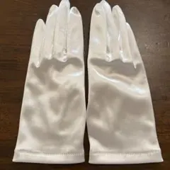 Item thumbnail for item ac64a18b-f2e3-4e34-8060-f7d44375b991