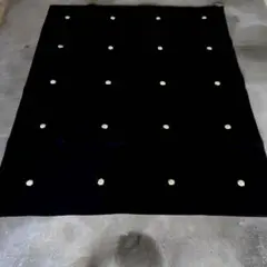 パオラレンティ paola lenti ラグ / カッシーナ アルフレックス