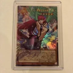 遊戯王 ハーピィ・レディ華麗なる分身　オーバーフレーム
