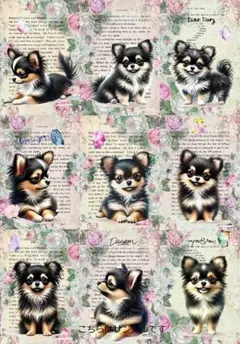 パネル生地 犬 チワワ