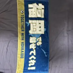 日本ハムファイターズ 応援グッズ
