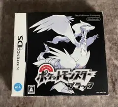 【箱あり】ポケットモンスター ブラック Nintendo DS