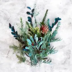 2026年最新】バンクシア コーストの人気アイテム - メルカリ