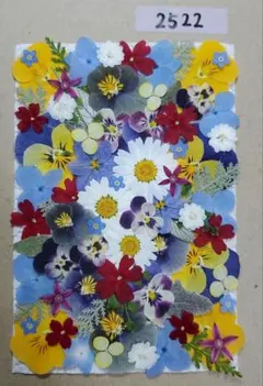 押し花素材2522染色含む