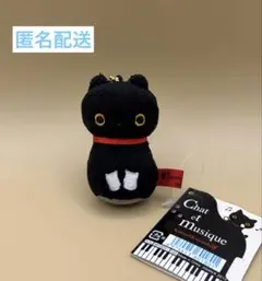 2025年最新】靴下にゃんこ ぬいぐるみの人気アイテム - メルカリ