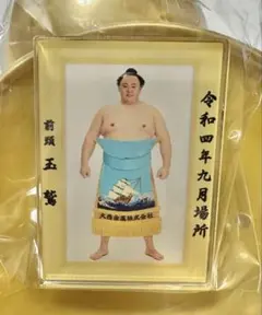 大相撲　玉鷲　優勝額風アクリルバッジ　クレーンゲーム限定