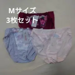 トリンプ　レギュラーショーツ3枚セット　履き込み普通⑬