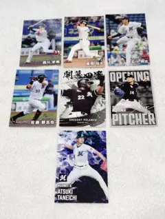 プロ野球チップス2025 千葉ロッテマリーンズ(カード7枚)