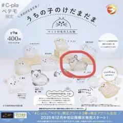 うちの子のけだまだま　犬のけだまだま　チワワ