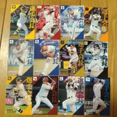 プロ野球チップスカード2024 選手会長カード12枚セット