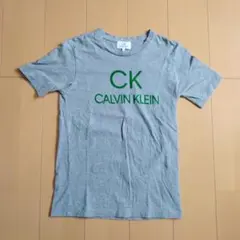 【正規品】Calvin Klein カルバンクライン Tシャツ グレー Mサイズ