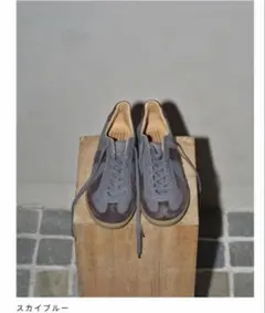 TODAYFUL REPRODUCTION ジャーマントレーナー