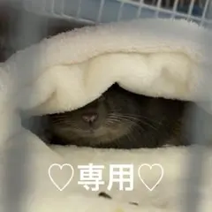 Item thumbnail for item 63b49bac-994a-4ec1-ab20-1aaef630abf2