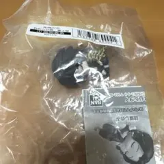 鬼滅の刃 ねむらせ隊 第二弾　冨岡義勇