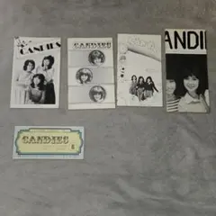 キャンディーズ　1978年　解散当時写真集・パンフレット　お宝セット キャンディーズ 1978年 解散当時写真集・パンフレット お宝セット