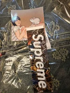 Supreme Spring Tees Box Logo Sticker