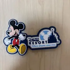 東京ディズニーリゾート　マグネット