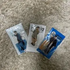 SnowMan 向井康二 アクスタ 公式写真