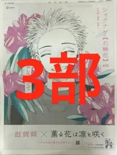 薫る花は凛と咲く　朝日新聞全面広告3部　滋賀県　まるごと　新品　未開封