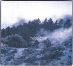 USアシッドロック サイケロック 幻の盤 THE BLEU FOREST