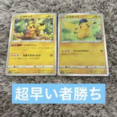 2025年最新】ピカチュウワイルドボルトの人気アイテム - メルカリ