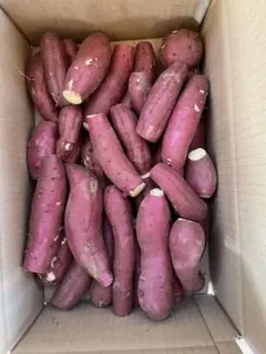 ハナ♡さん　専用　連絡用