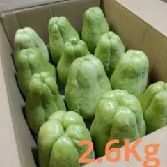 2025年最新】ハヤトウリの人気アイテム - メルカリ