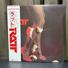 ラット「ラット」