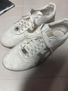 Item thumbnail for item 4b3acc3e-240f-42bf-b420-2e019c4156e4