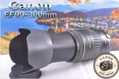 2026年最新】canon ef 90-300の人気アイテム - メルカリ
