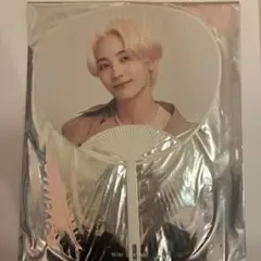 seventeen ホリデーコレクション ジョンハン ミニピケット うちわ