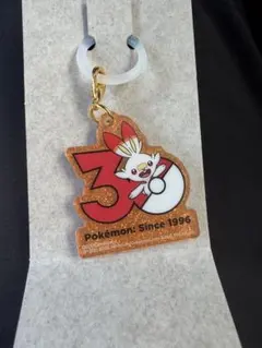 ポケモン 30周年ポケチャーム2 ヒバニー