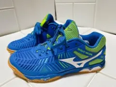 卓球シューズ　ミズノ　23センチ　WAVE MEDAL Z2