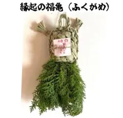 Item thumbnail for item f3758278-095a-4c59-a6f6-64c182be19b8