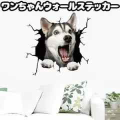 犬　ウォールステッカー　シベリアンハスキー　インテリアシール　雑貨　かわいい