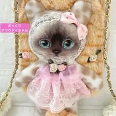 クラウディちゃん　ふわふわお耳＆しっぽ　コヤンイサムチョン　ふかふかサコッシュ
