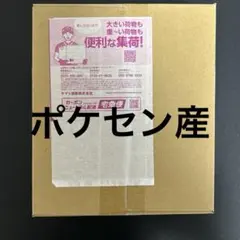 ポケモンカードゲーム MEGA スターターセットex ゾロア＆ゾロアークex