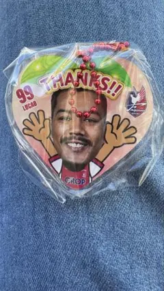 ファジアーノ岡山 25THANKS♡キーホルダー ルカオ