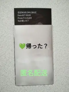うらたぬき メル画 帰った？ TA13OO
