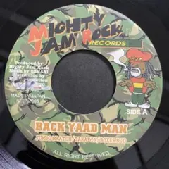 DJ VADIM / DUBCATCHER 2LP レコード付属CD付ukレゲエ DJ VADIM / DUBCATCHER 2LP /付属CD付ukレゲエ - メルカリ