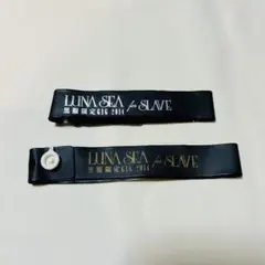 Item thumbnail for item 1c21f0d1-a6cb-4f27-9a2c-e59120422097