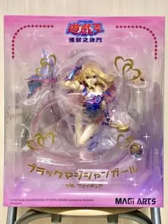 【匿名配送】遊戯王 ブラックマジシャンガール フィギュア 色紙 セット 2025年最新】ブラックマジシャンガール 色紙の人気アイテム