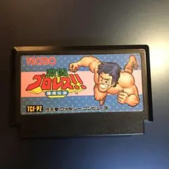 TECMO 激闘プロレス!!