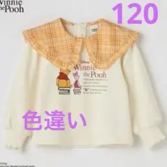 バースデイ　くまのプーさん　襟付き　トレーナー