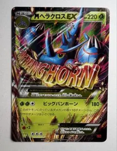 2026年最新】Mヘラクロス EX ポケモンカードの人気アイテム - メルカリ
