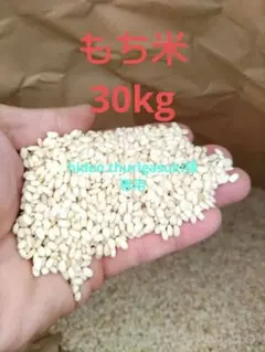 令和7年産 もち米 玄米 30kg - メルカリ